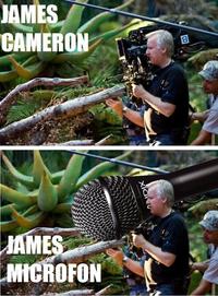 Name Puns