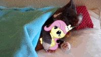 GIF