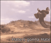 Haters Gonna Hate