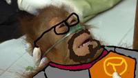 Dying Orangutan