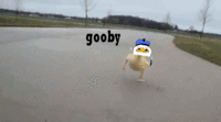 Dolan
