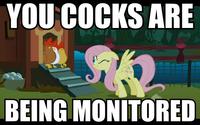 My Little Pony: Friendship is Magic