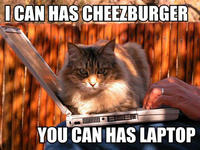 LOLcats