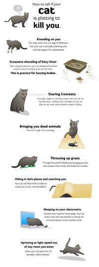 Cats