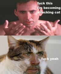 Nicolas Cage