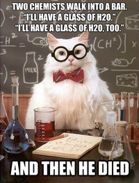 Chemistry Cat