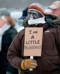 That Really Rustled My Jimmies