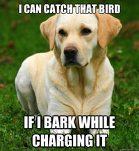 Women Logic