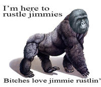 That Really Rustled My Jimmies