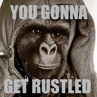 That Really Rustled My Jimmies