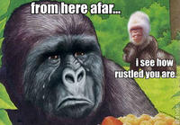 That Really Rustled My Jimmies