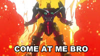 COME AT ME BRO