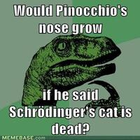 Schrodinger's Cat