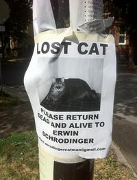 Schrodinger's Cat