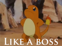 Like A Boss
