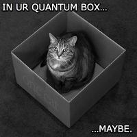 Schrodinger's Cat