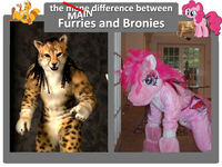 Furries