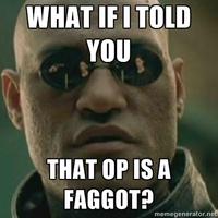 OP is a Faggot