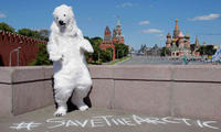 Operation Save the Arctic