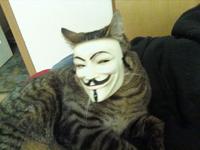 Anonymous