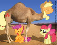 My Little Pony: Friendship is Magic