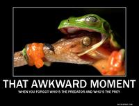 That Awkward Moment