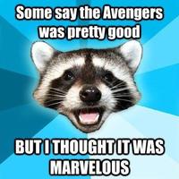Lame Pun Coon