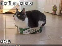 The Floor is Lava / Hot Lava Game