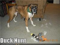 Duck Hunt