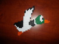 Duck Hunt