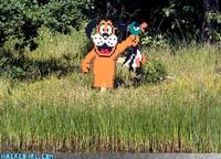 Duck Hunt