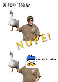 Nope! Chuck Testa