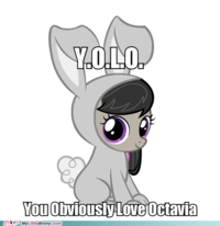 YOLO