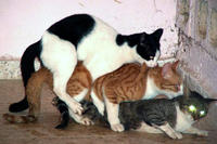 b07.jpg