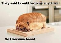 They Told Me I Could Be Anything I Wanted