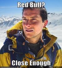 Bear Grylls / Better Drink My Own Piss