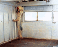 SCP Foundation