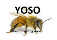 YOLO