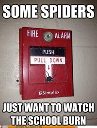 Some Men Just Want to Watch the World Burn