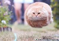 Perfectly Timed Photos