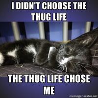 I Didn't Choose The Thug Life, The Thug Life Chose Me