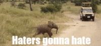 Haters Gonna Hate
