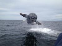 Perfectly Timed Photos
