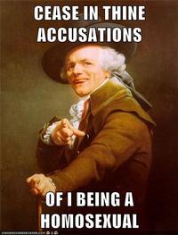 Stop Calling me a Homo!