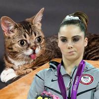 Lil Bub