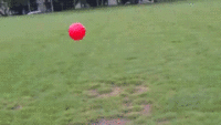 FAIL