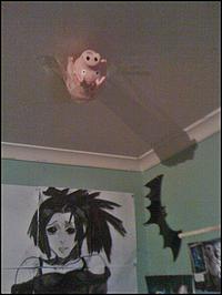 Spider-Pig / Harry Plopper