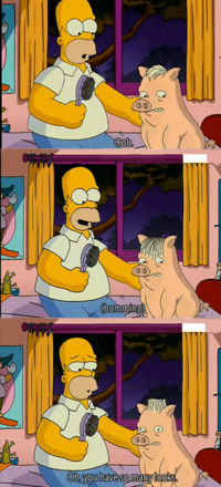 Spider-Pig / Harry Plopper