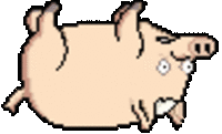 Spider-Pig / Harry Plopper