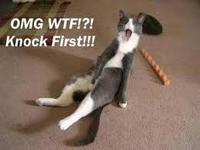 LOLcats